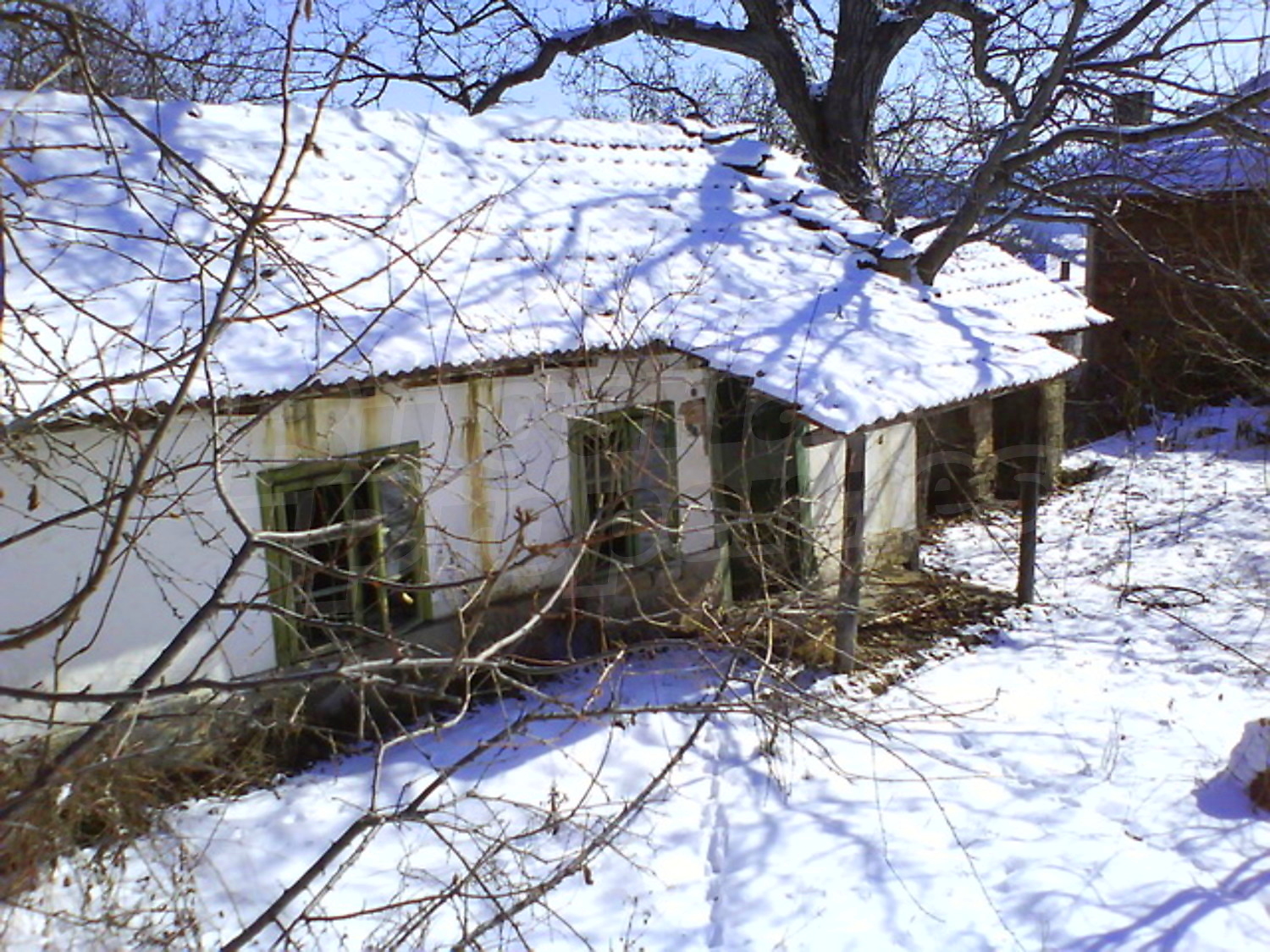 Gallery Picture 24