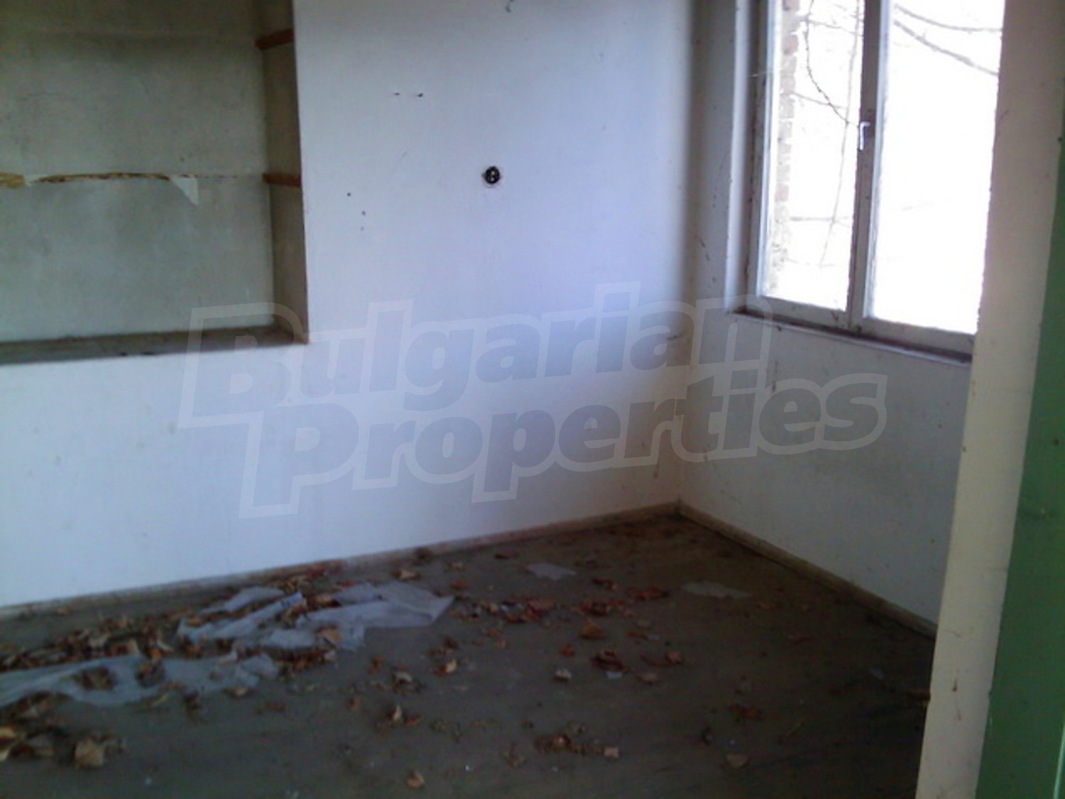 Gallery Picture 9