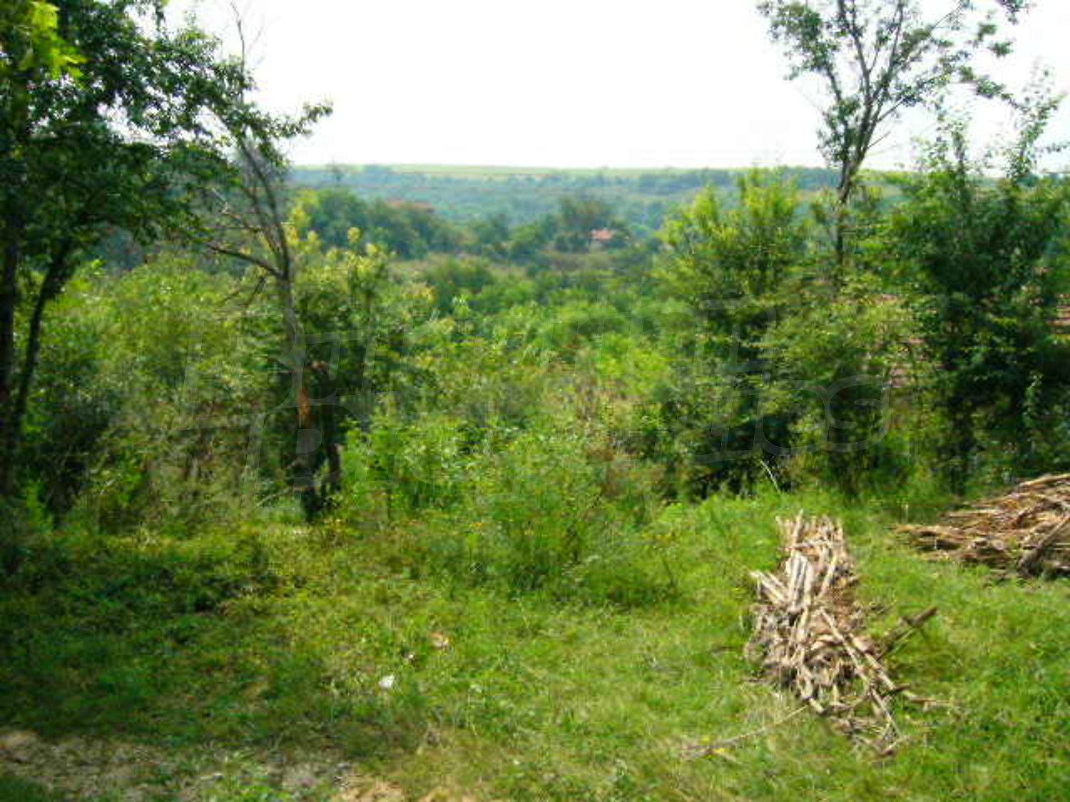 Gallery Picture 11