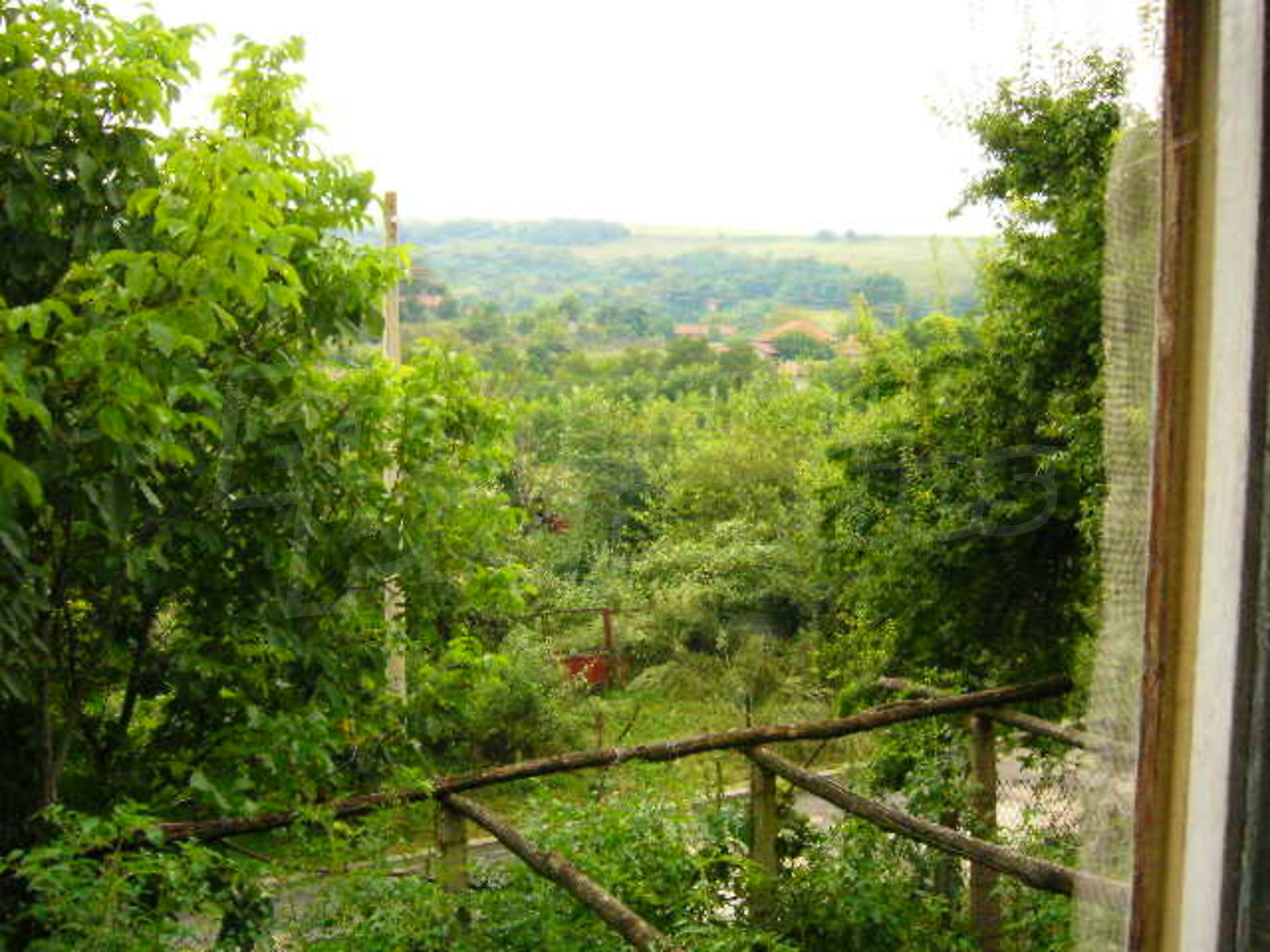 Gallery Picture 12