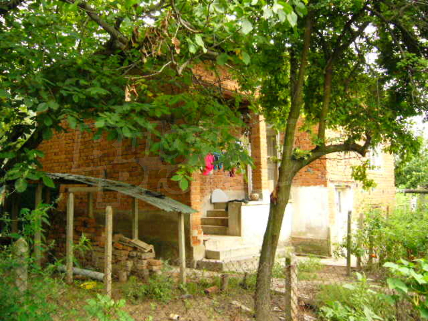 Gallery Picture 2