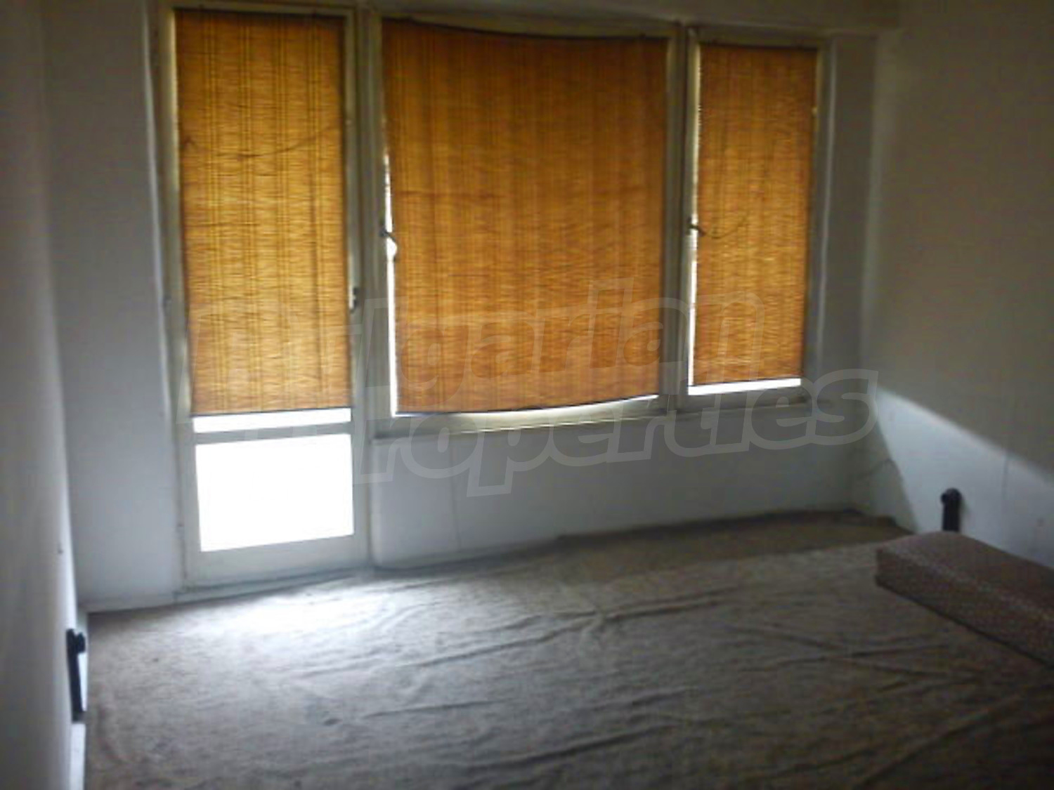 Gallery Picture 2