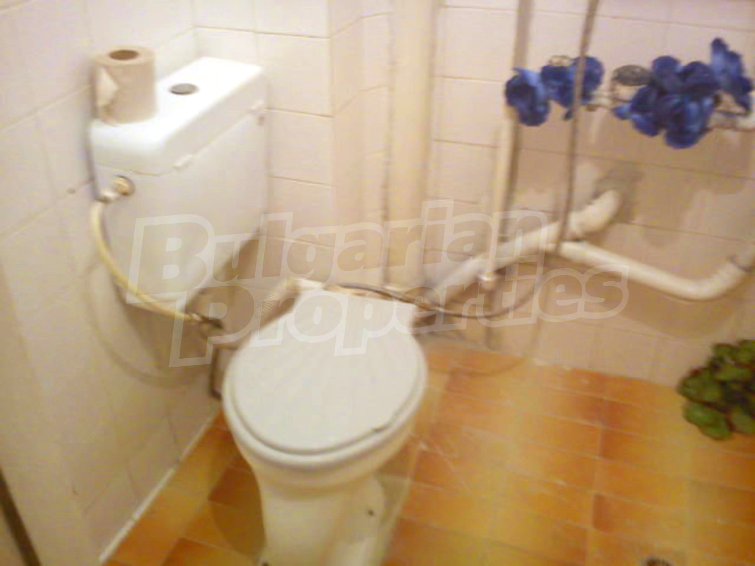 Gallery Picture 6