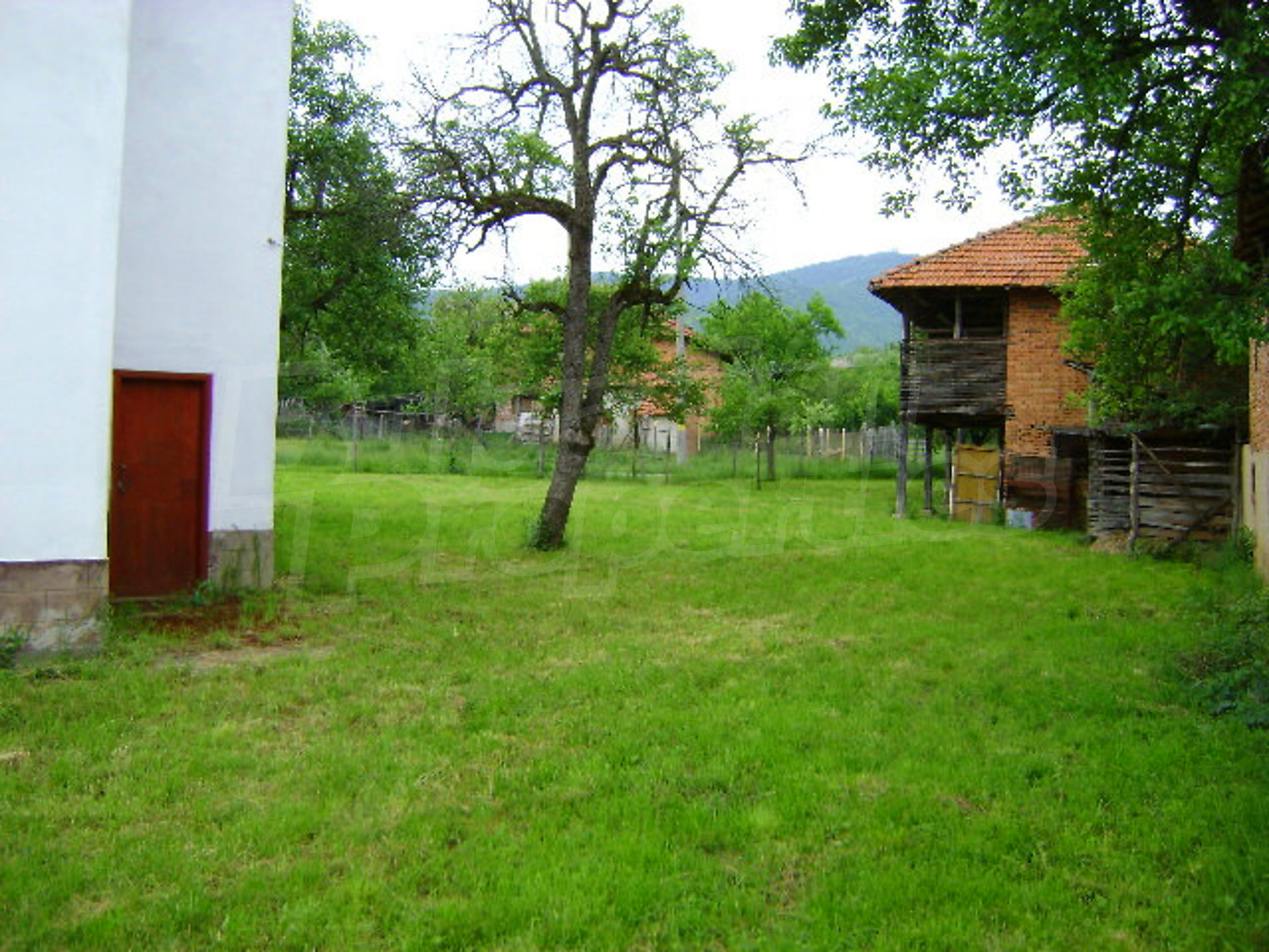 Gallery Picture 15