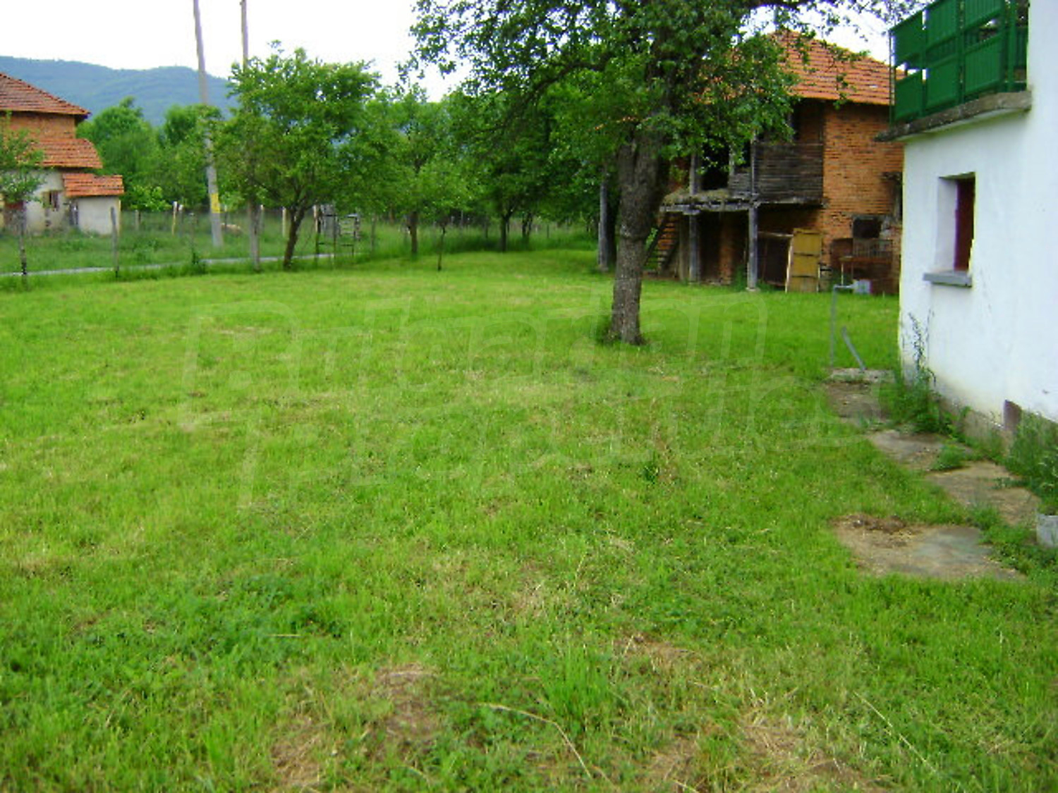 Gallery Picture 6