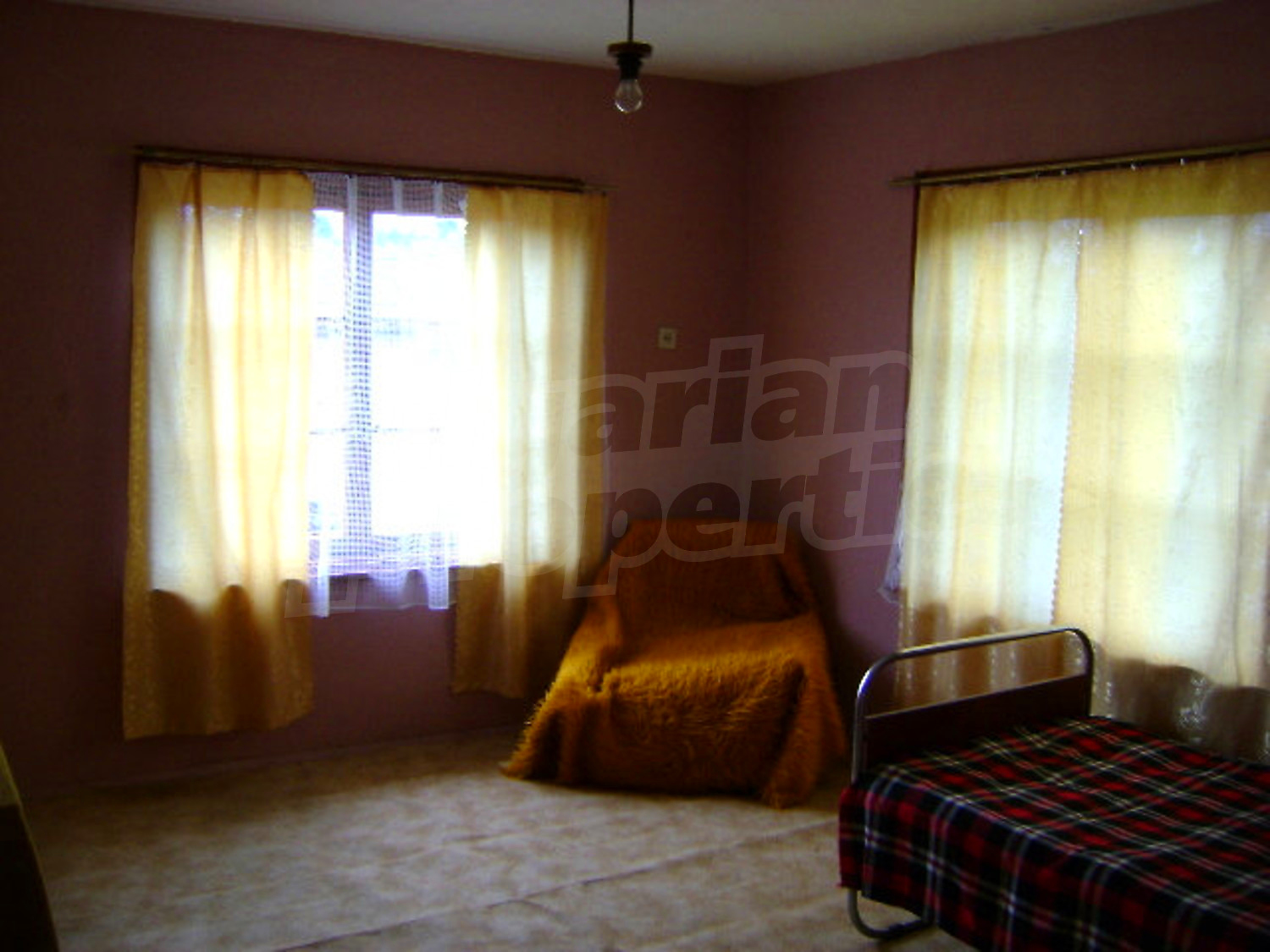 Gallery Picture 7