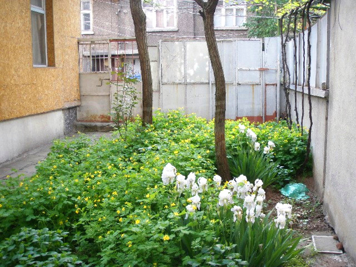 Gallery Picture 5