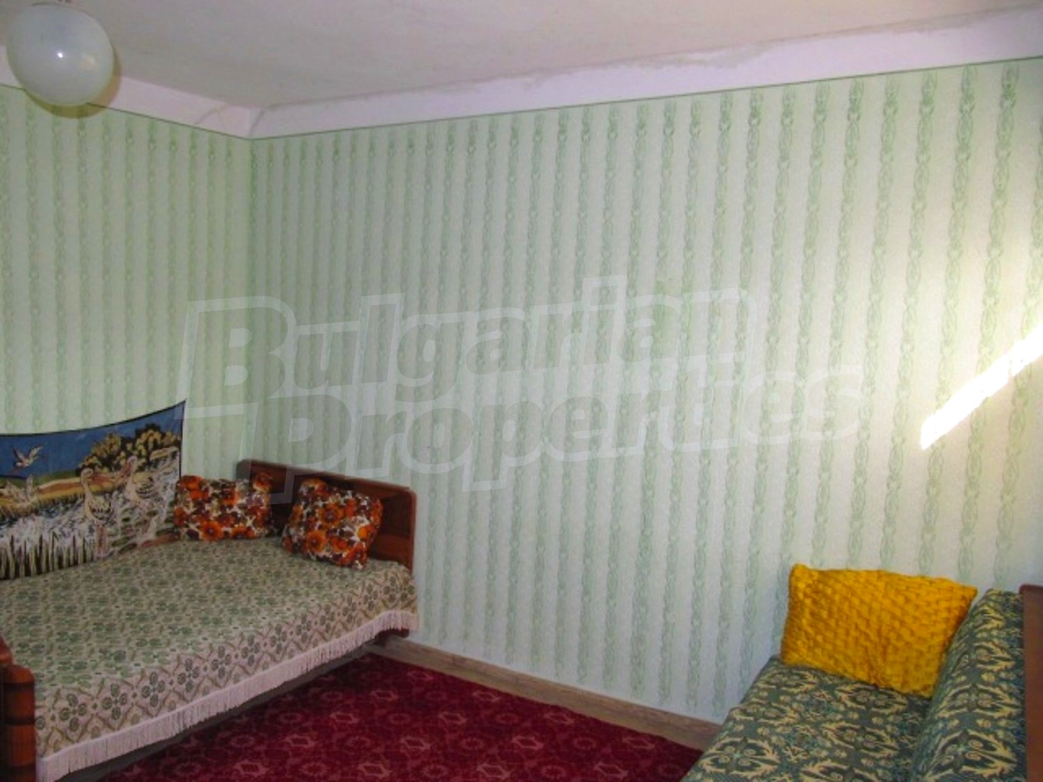 Gallery Picture 11
