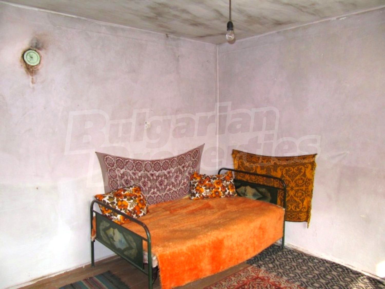 Gallery Picture 14