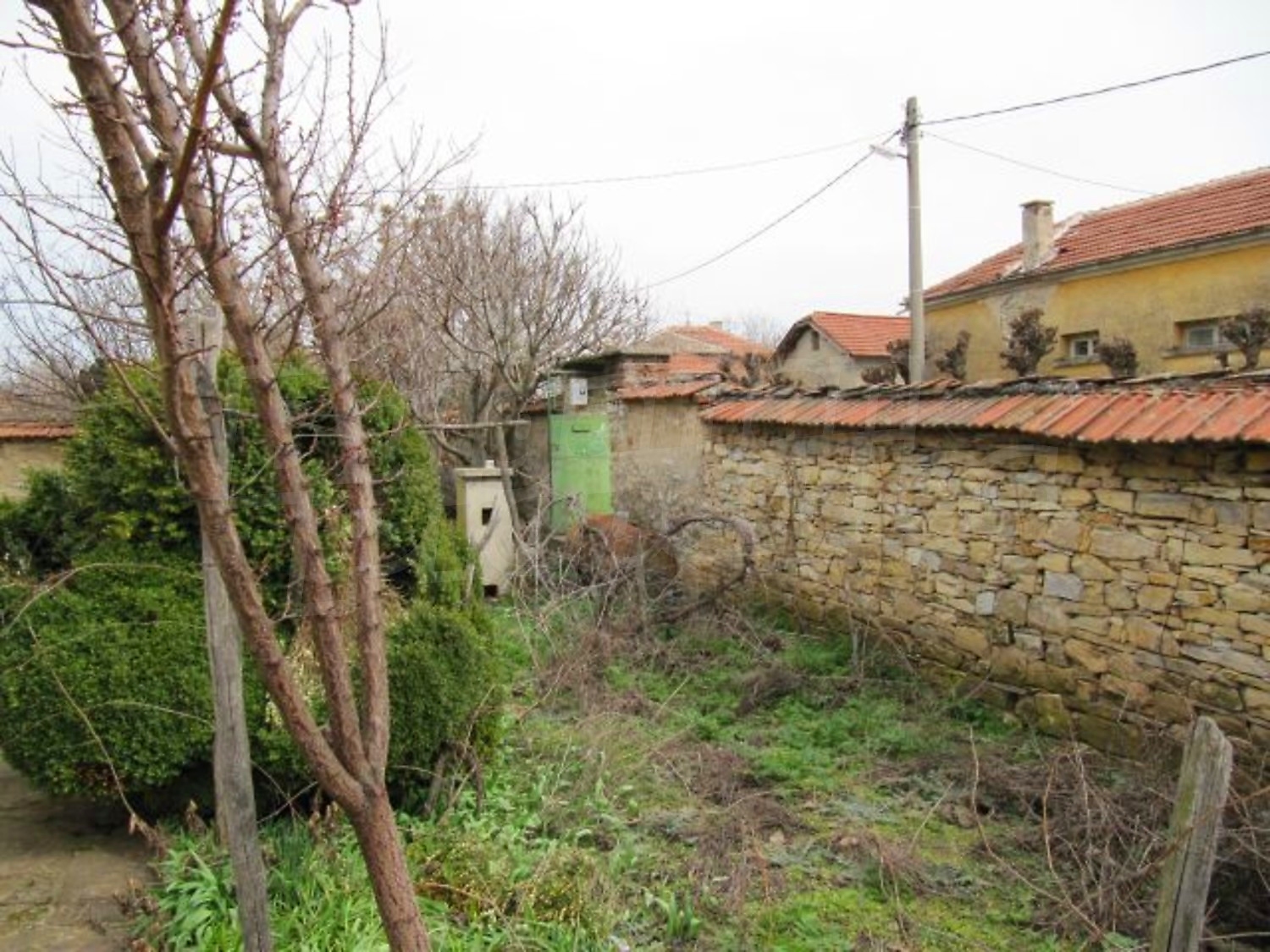 Gallery Picture 16