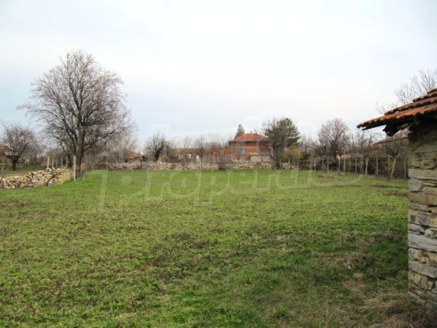 Gallery Picture 17