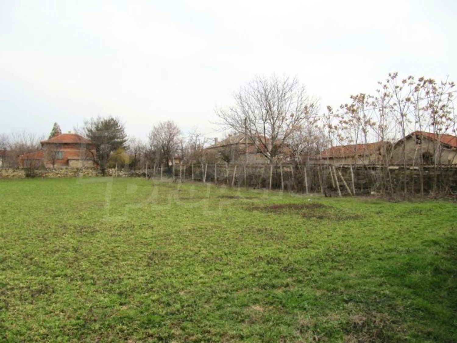 Gallery Picture 18