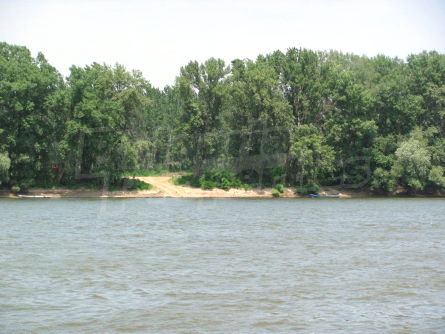 Gallery Picture 18