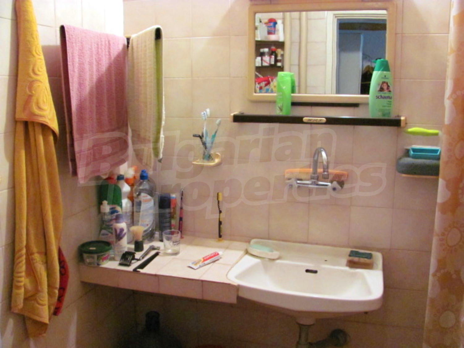 Gallery Picture 13