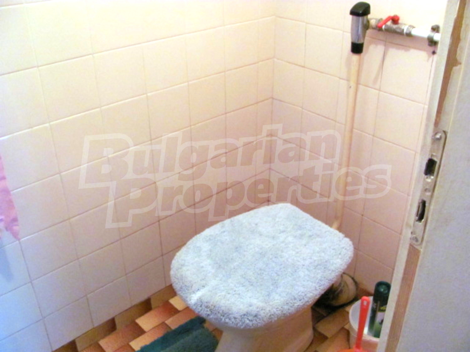 Gallery Picture 16