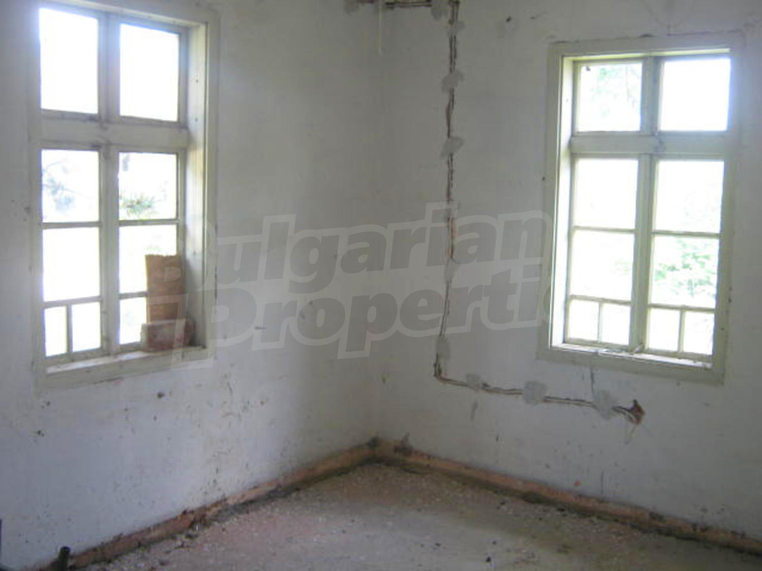 Gallery Picture 6