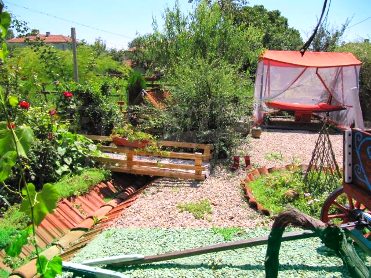 Gallery Picture 18