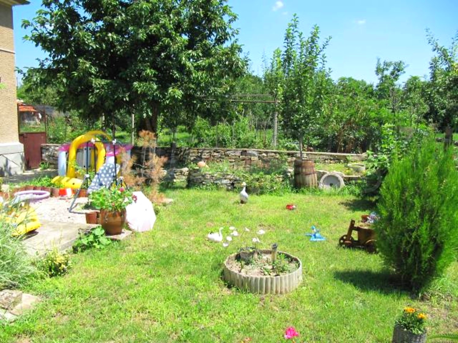 Gallery Picture 27