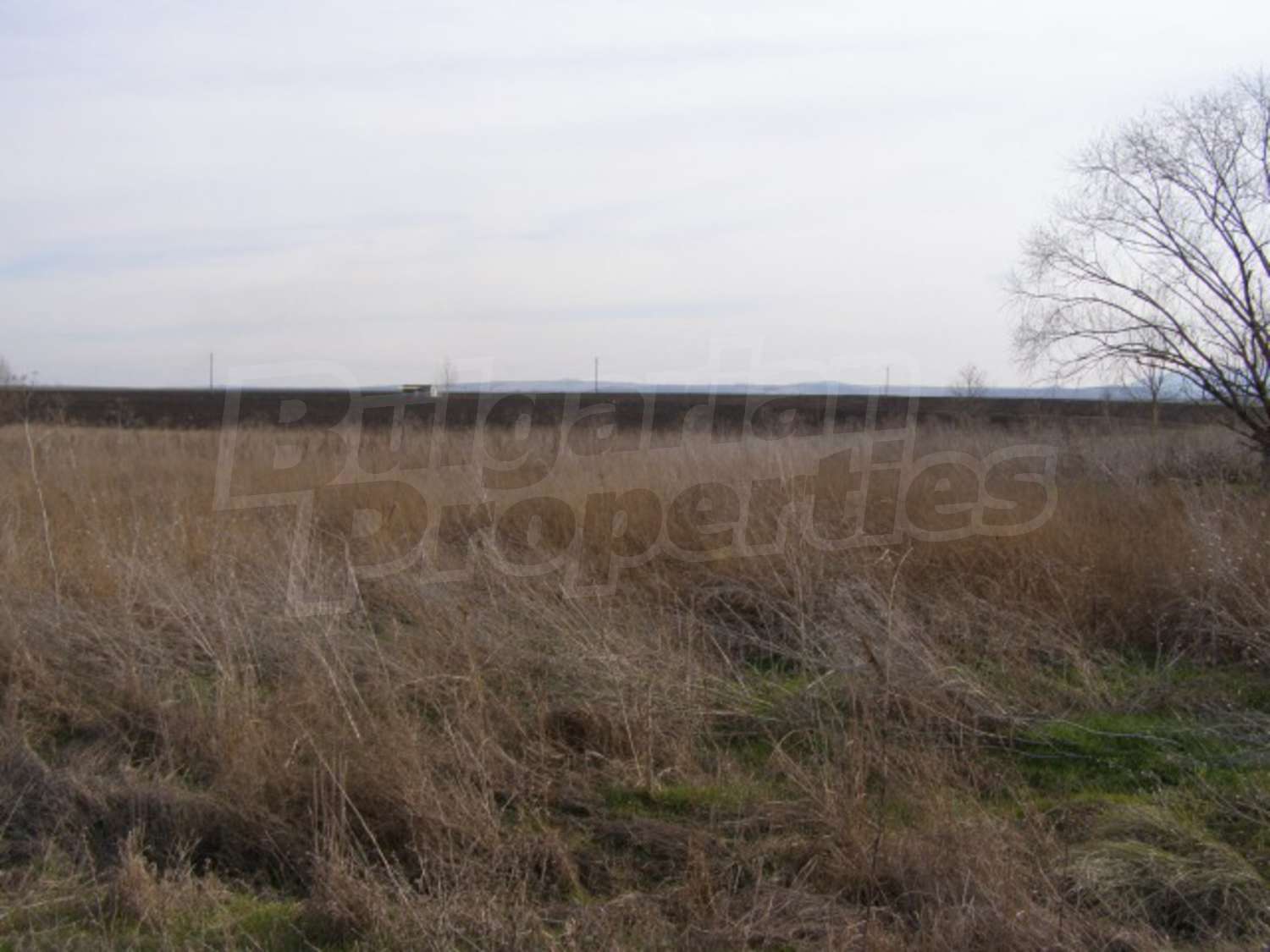 Gallery Picture 10