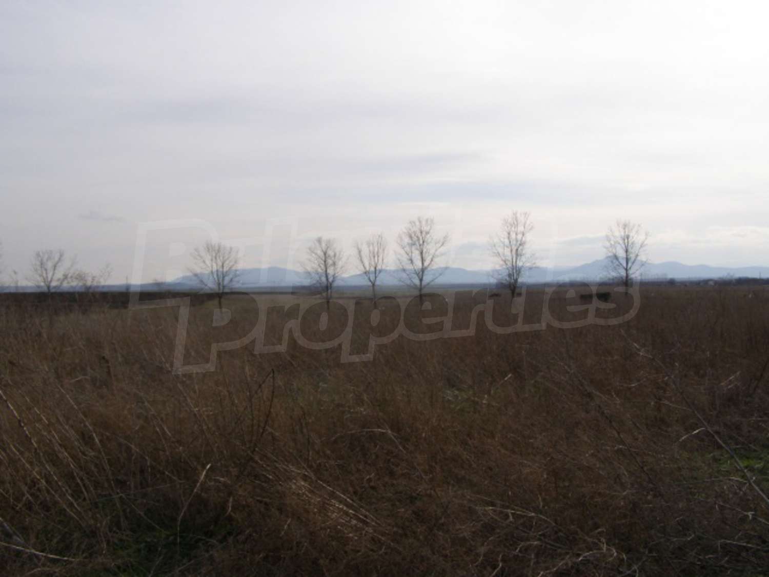 Gallery Picture 11
