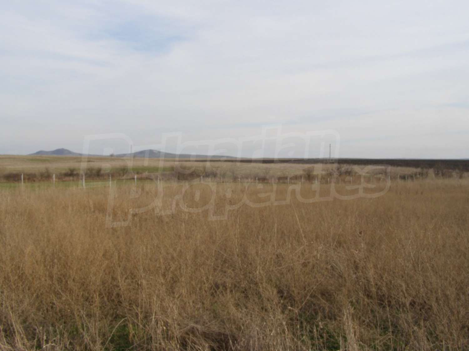 Gallery Picture 14
