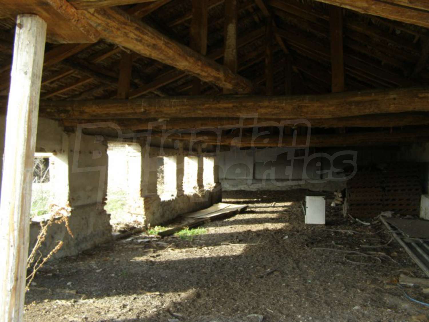 Gallery Picture 7