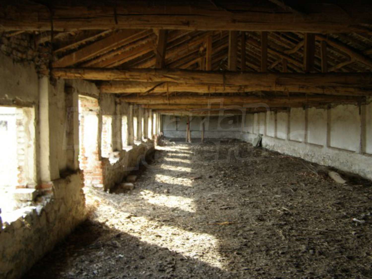 Gallery Picture 8