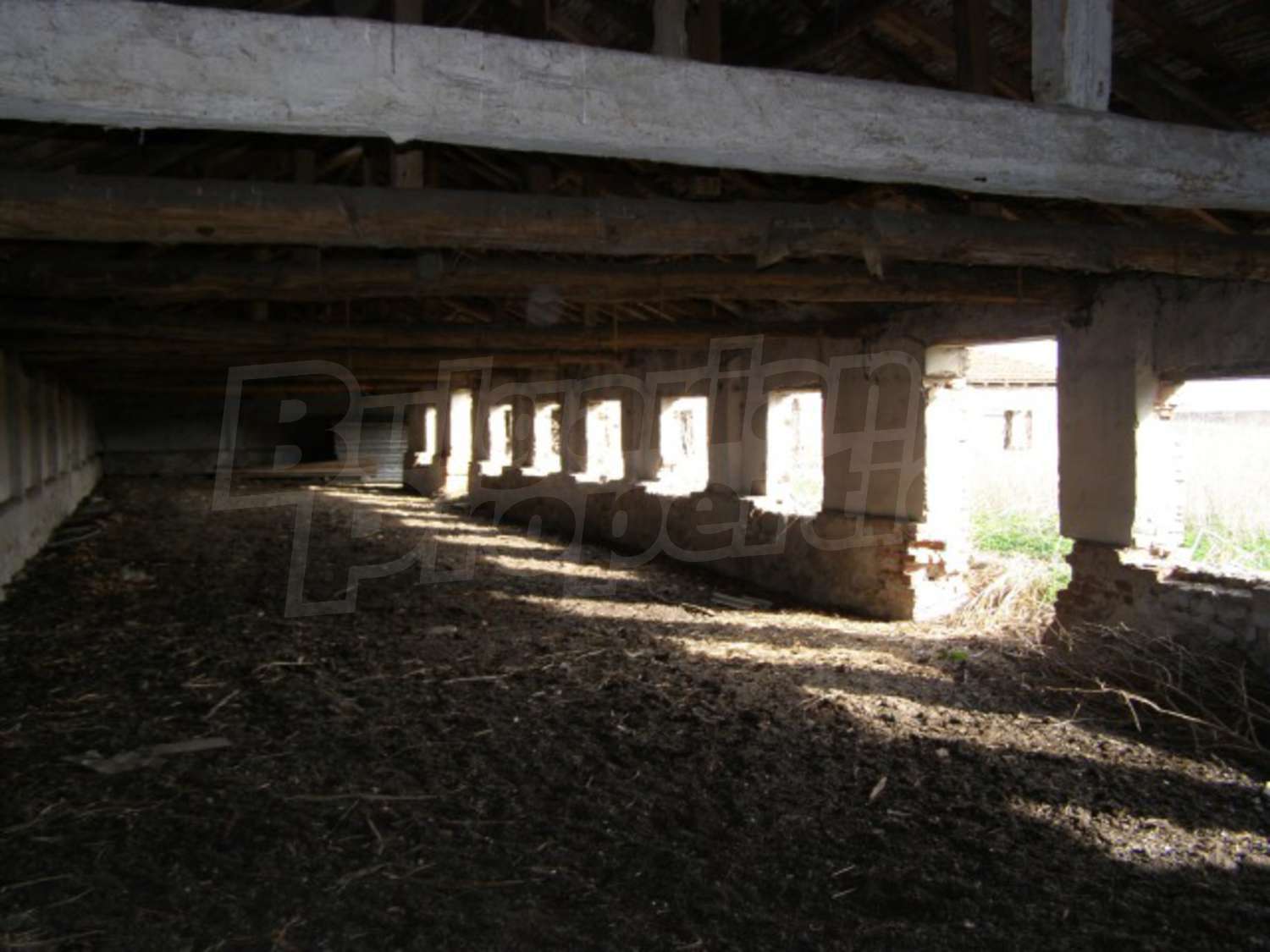 Gallery Picture 9