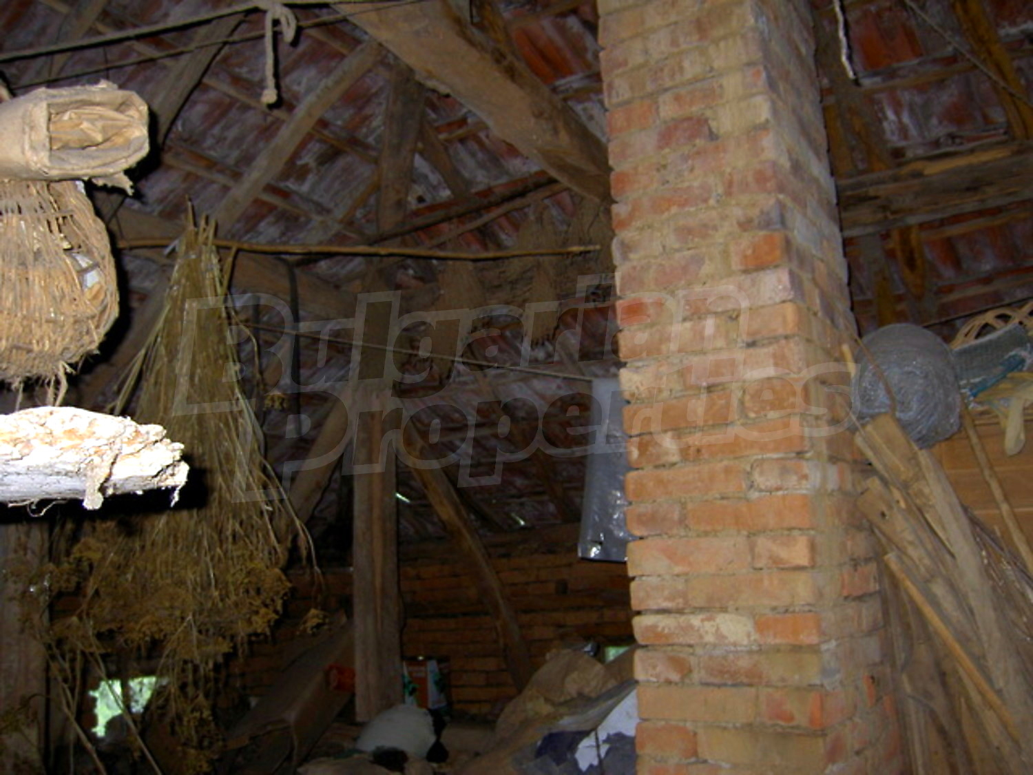 Gallery Picture 14