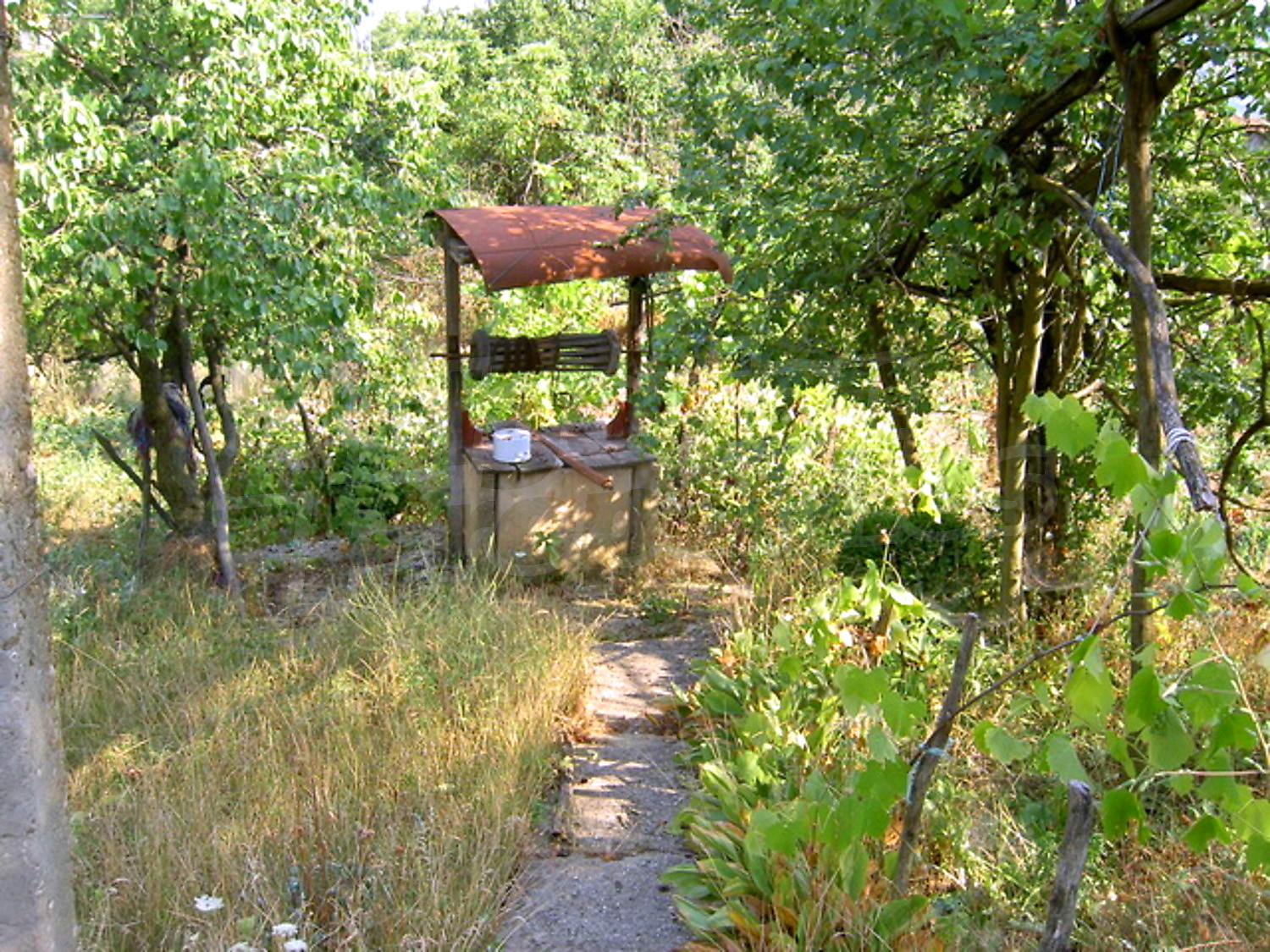 Gallery Picture 16