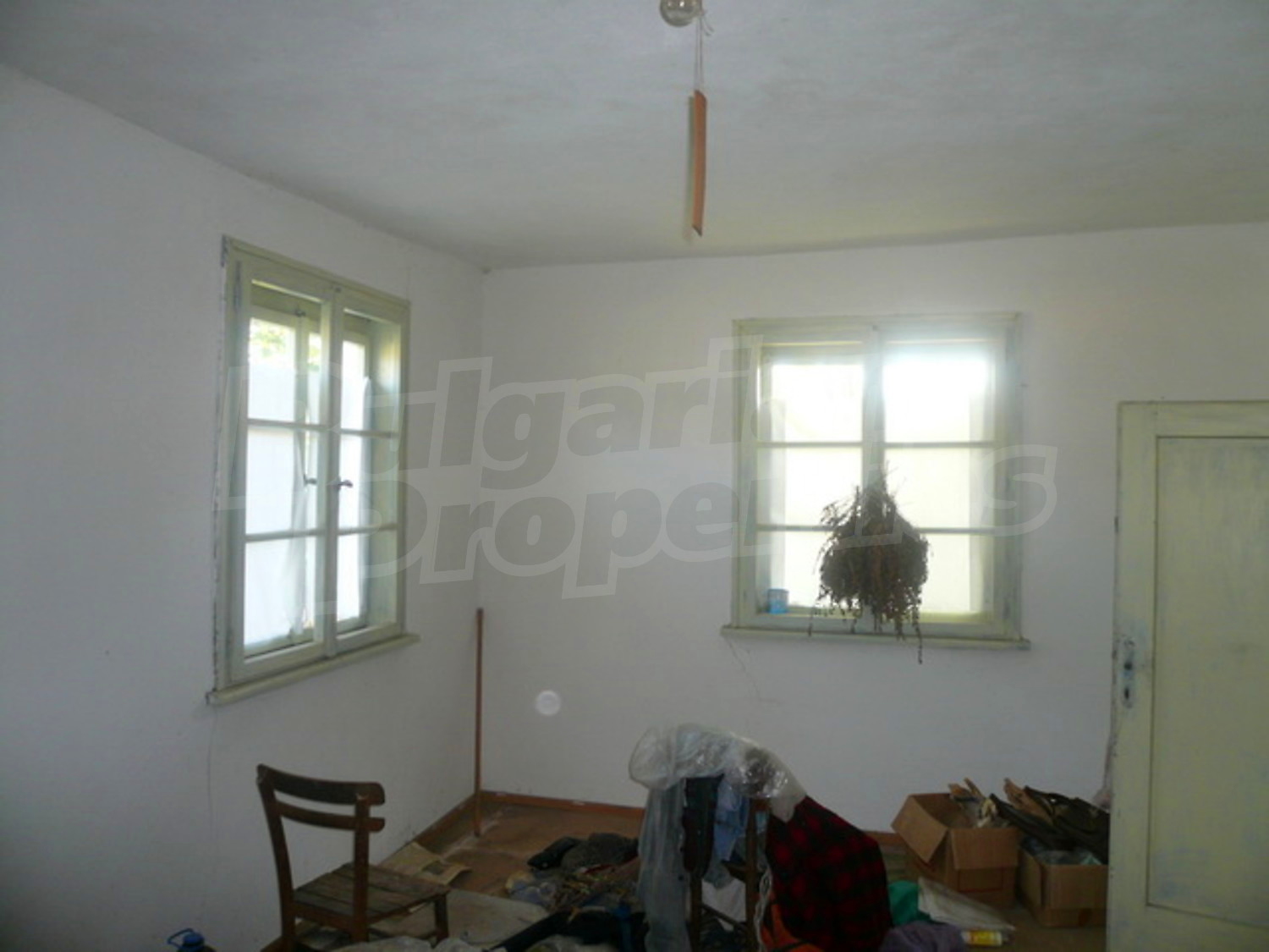 Gallery Picture 7