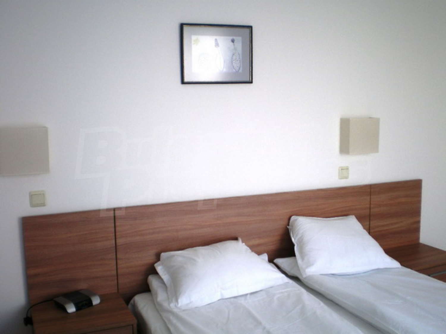 Gallery Picture 17