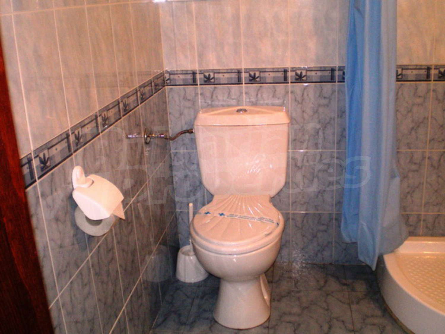 Gallery Picture 17