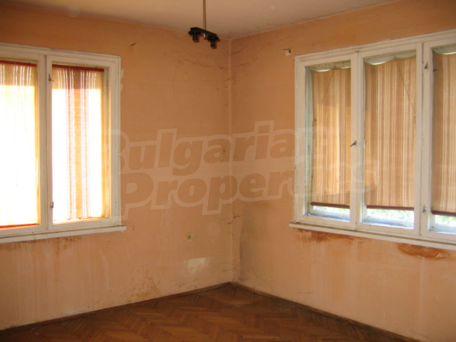 Gallery Picture 4