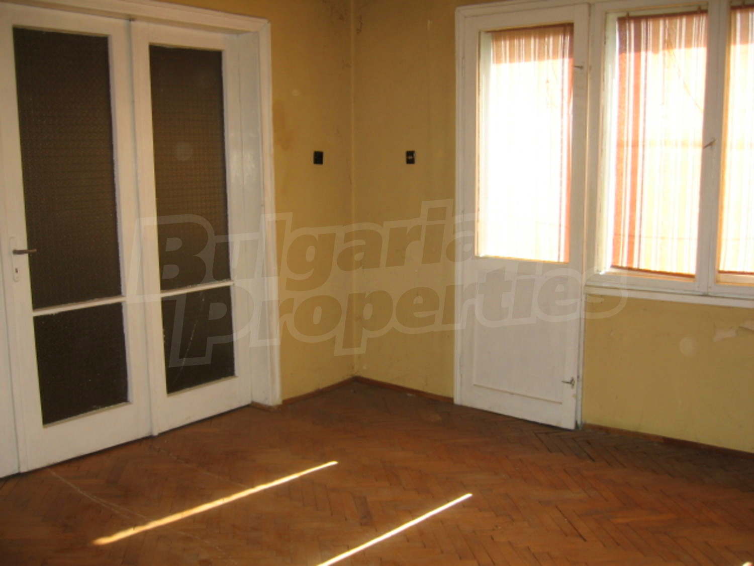 Gallery Picture 5
