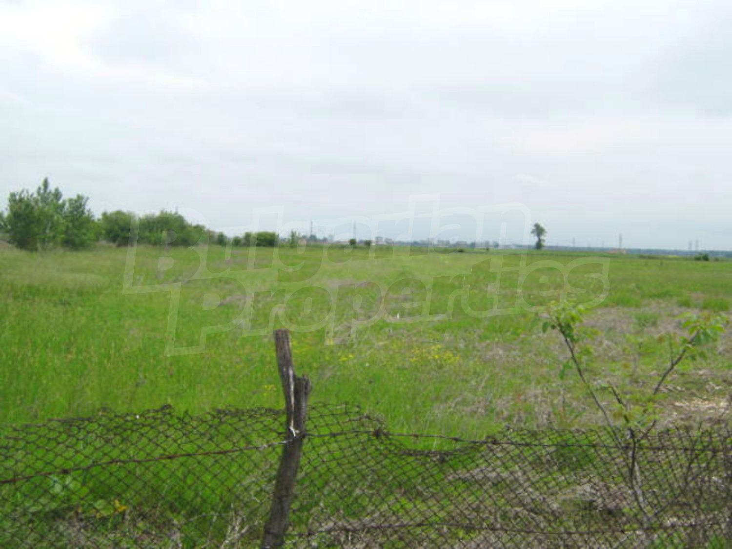 Gallery Picture 2