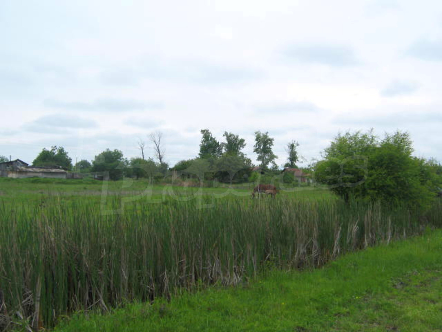 Gallery Picture 6