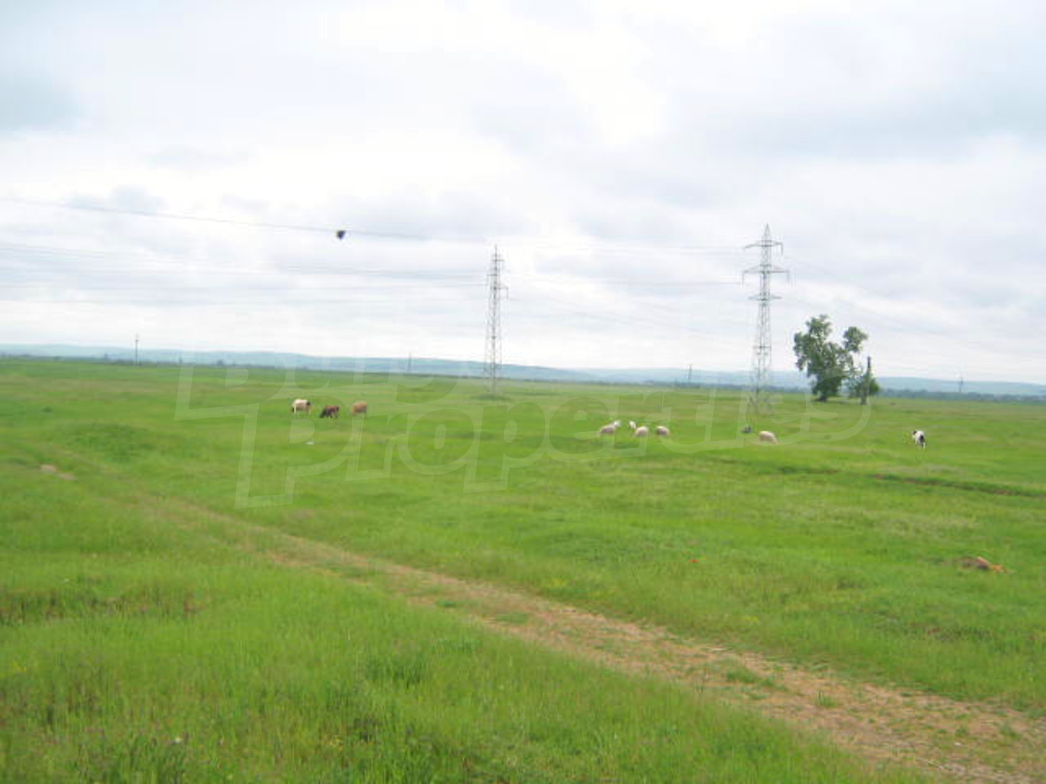 Gallery Picture 7