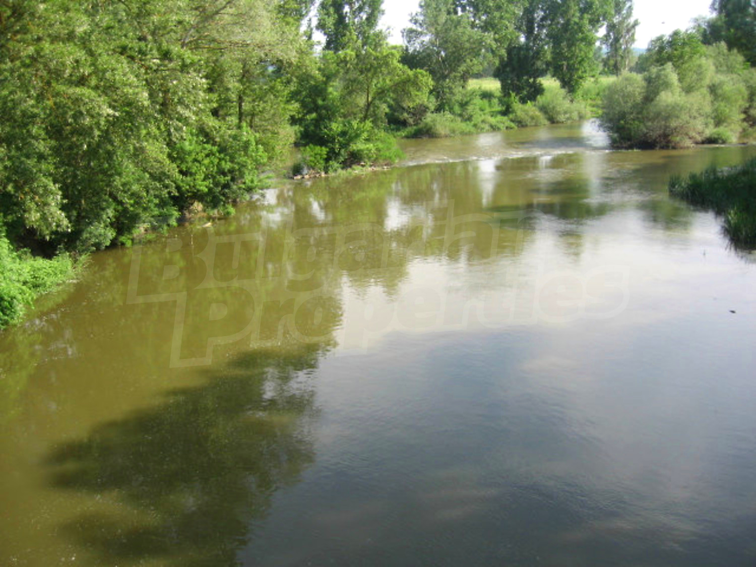 Gallery Picture 10