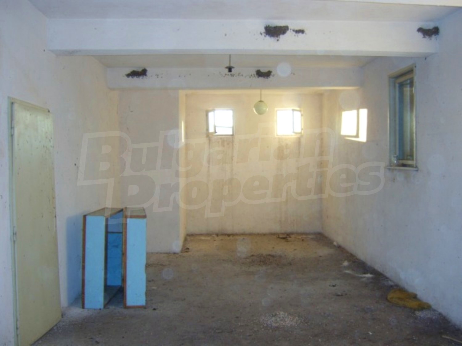 Gallery Picture 11