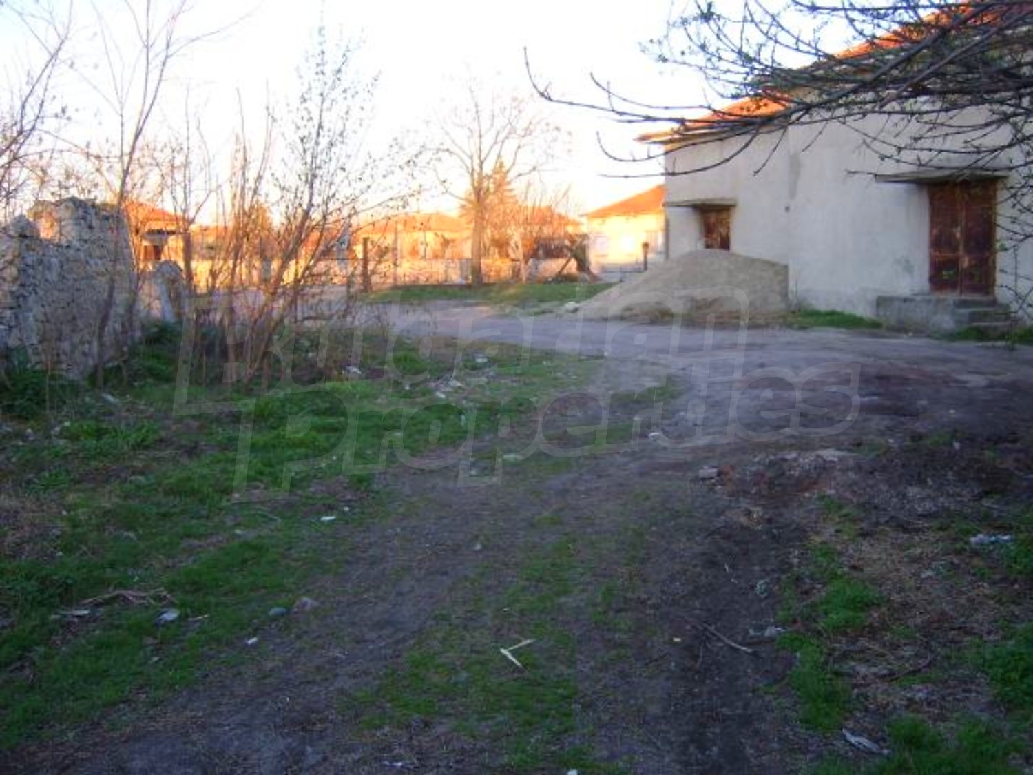 Gallery Picture 16