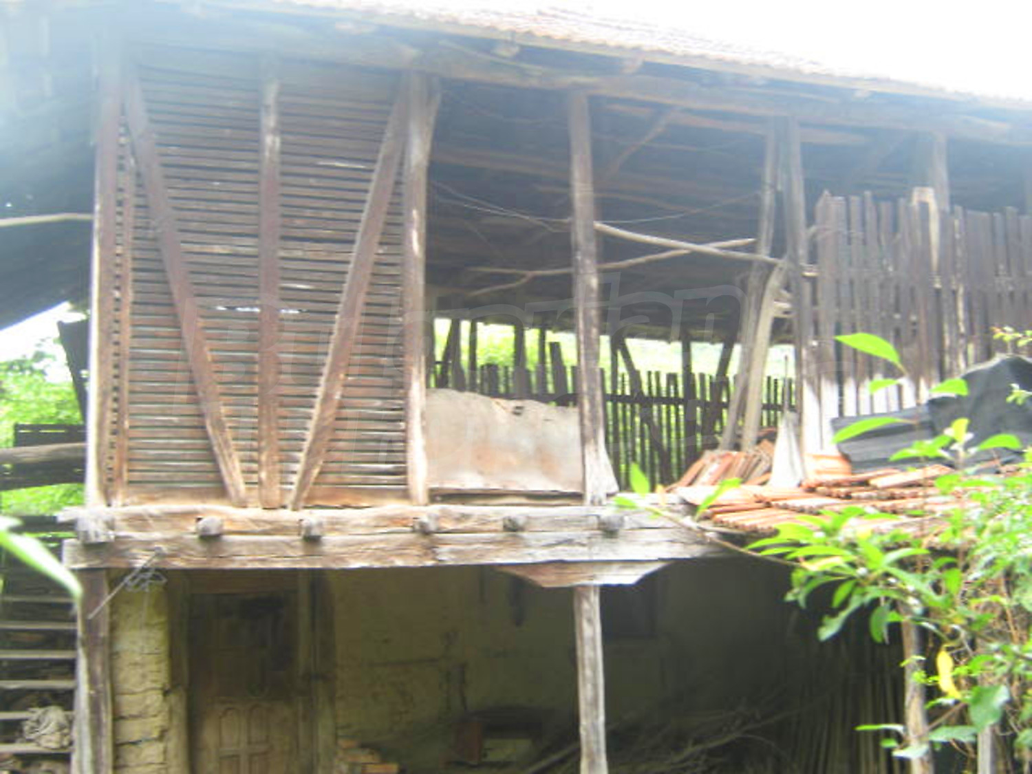 Gallery Picture 10