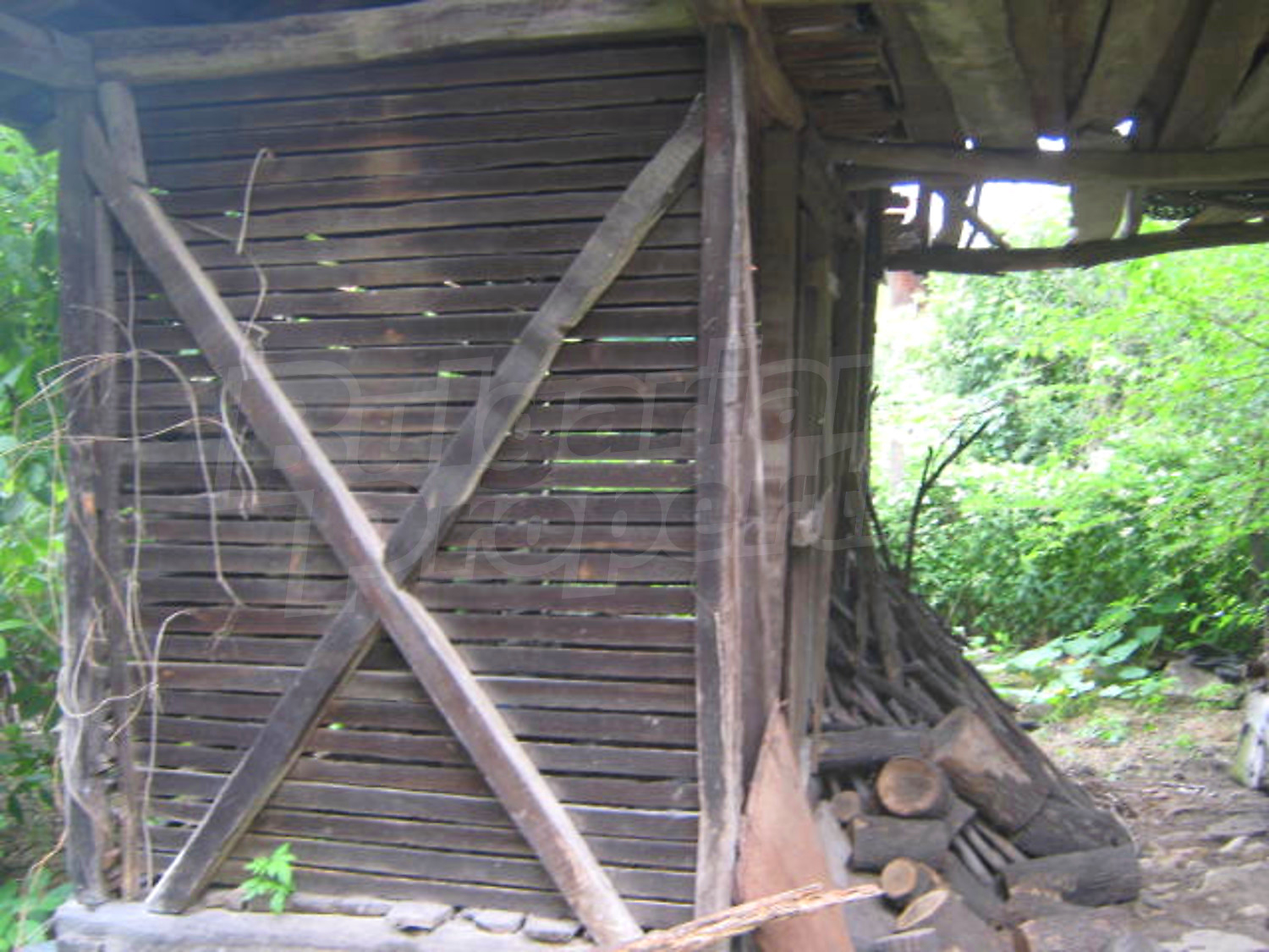 Gallery Picture 11
