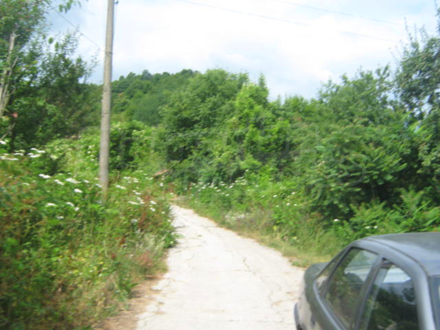 Gallery Picture 12