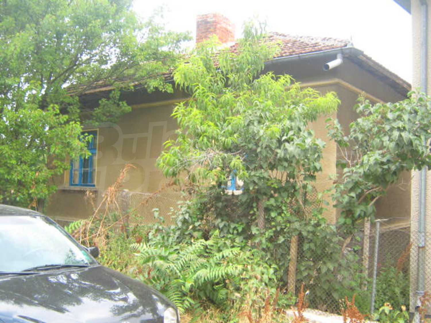 Gallery Picture 2