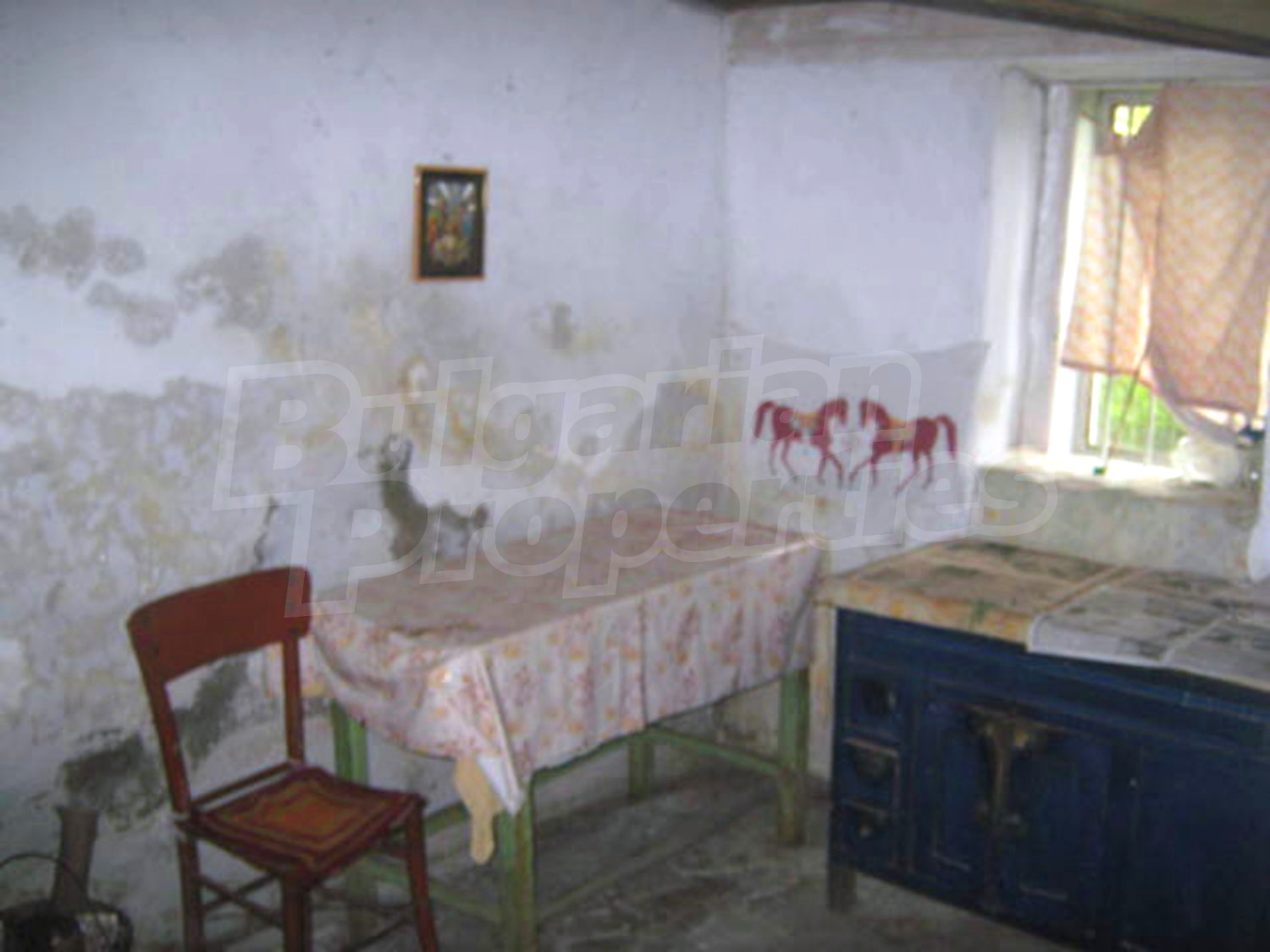 Gallery Picture 3