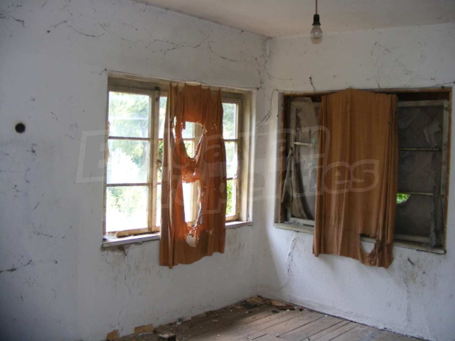 Gallery Picture 10
