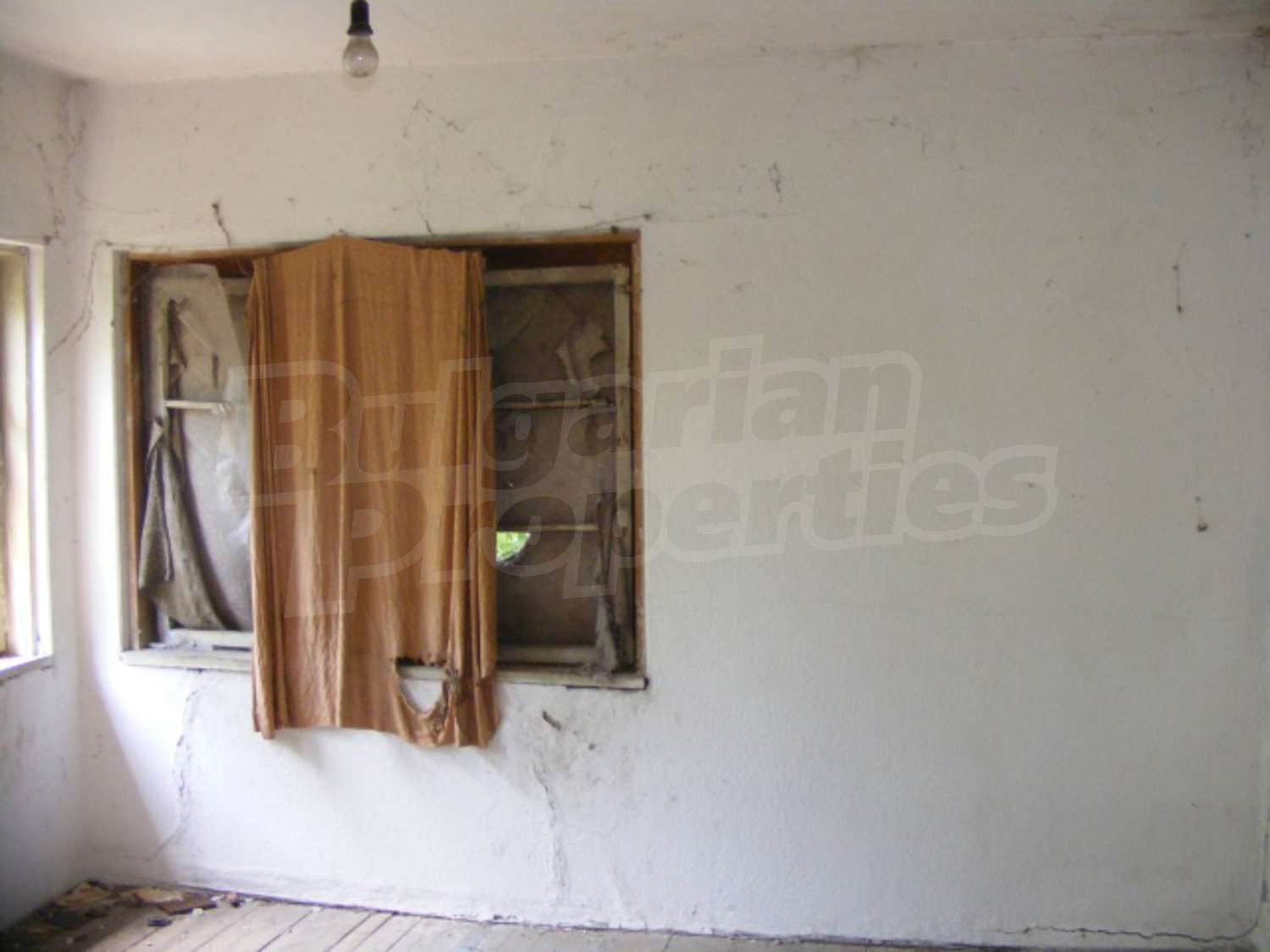 Gallery Picture 11