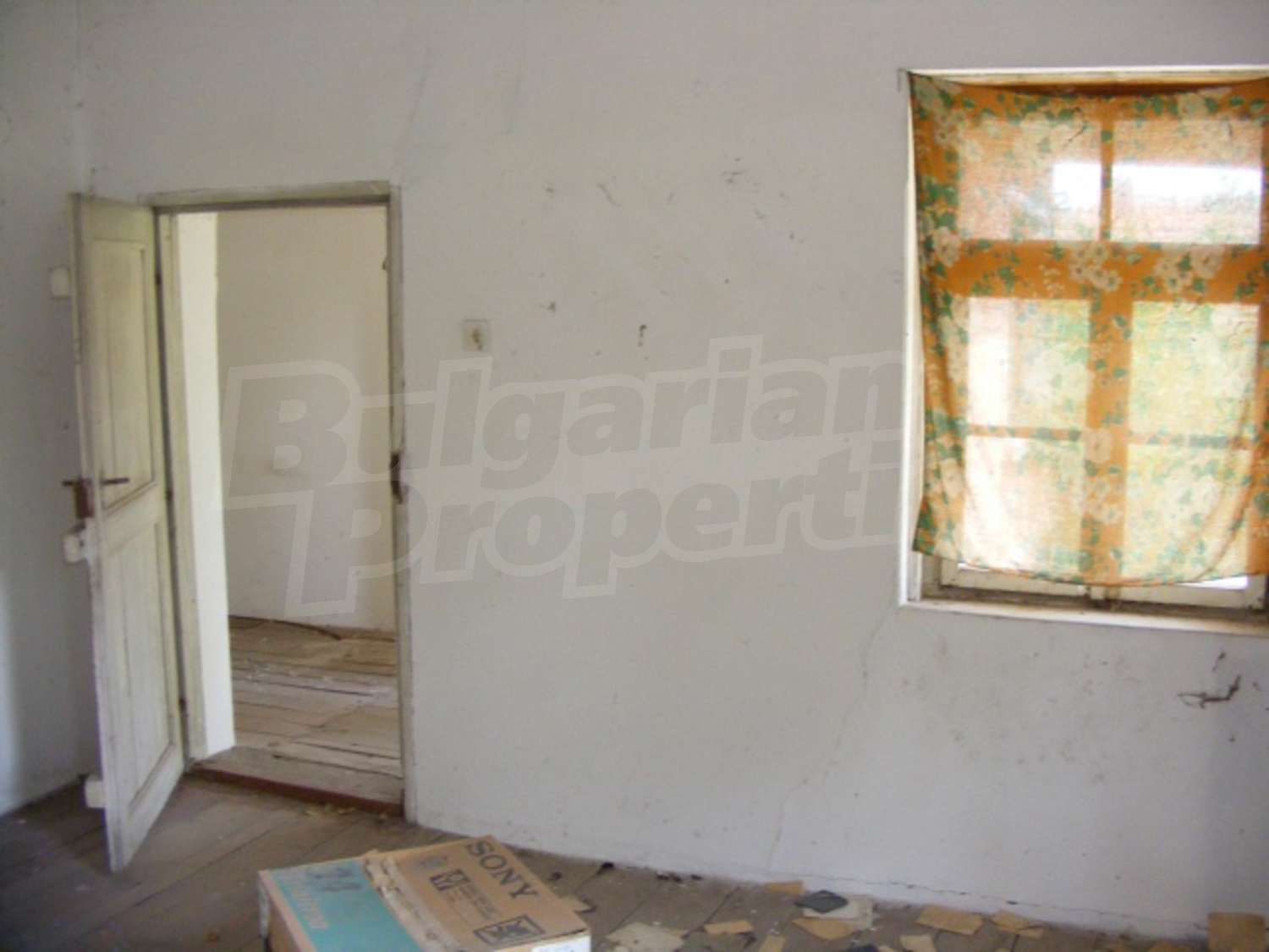 Gallery Picture 12