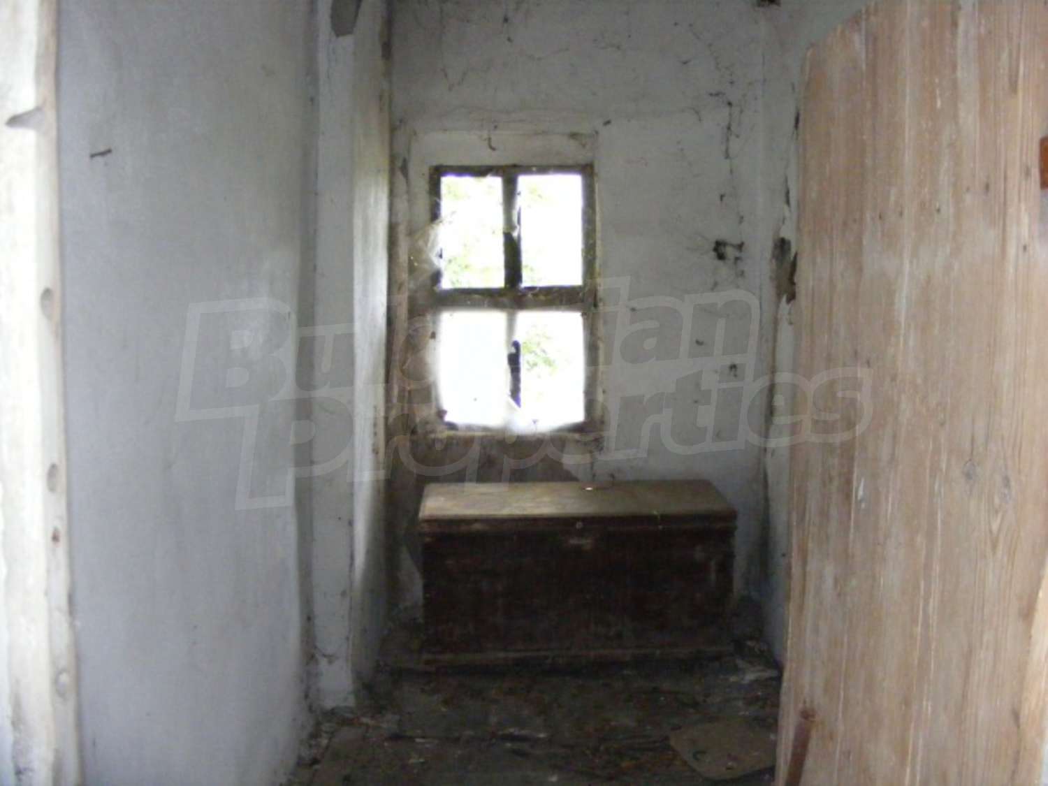Gallery Picture 16